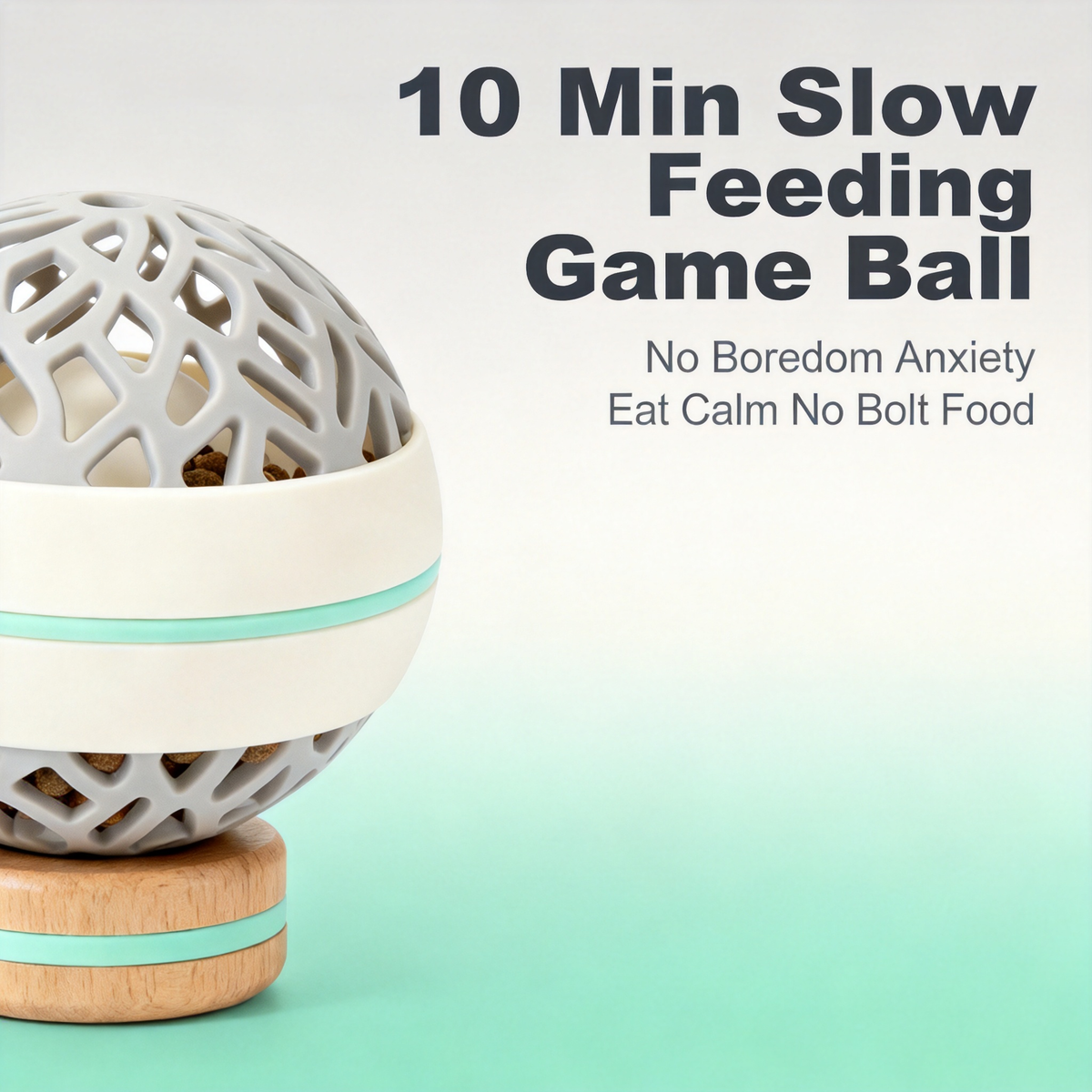 🎯 Turn Playtime Into A Learning Experience And Help Your Pet Discover Joy Through Exploration, Movement, And Reward