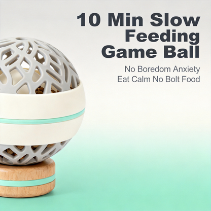 🎯 Turn Playtime Into A Learning Experience And Help Your Pet Discover Joy Through Exploration, Movement, And Reward