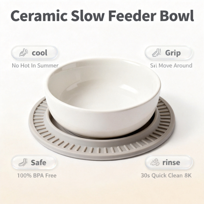 🐾 Turn Mealtime Into A Healthier Daily Ritual