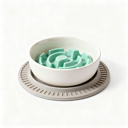 🐾 Turn Mealtime Into A Healthier Daily Ritual