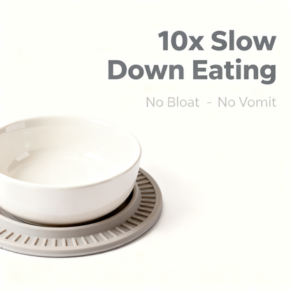 🐾 Turn Mealtime Into A Healthier Daily Ritual