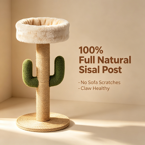 Cactus Cat Scratching Post — A Natural Scratching Solution That Keeps Your Cat Happy While Protecting Your Furniture 🌵