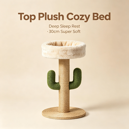 Cactus Cat Scratching Post — A Natural Scratching Solution That Keeps Your Cat Happy While Protecting Your Furniture 🌵