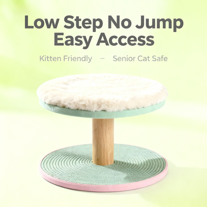 🐈 Transform Your Home Into A Cat-Friendly Playground With A Multifunctional Activity Table Designed For Scratching, Grooming, Exploring, And Everyday Feline Happiness